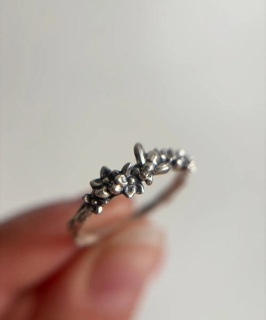 Anillo Jardín Secreto